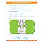 LIBRO DE TRABAJO BIG KINDERGARTEN 320 PG