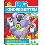 LIBRO DE TRABAJO BIG KINDERGARTEN 320 PG